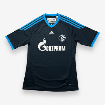 FC Schalke 04 2010/2011