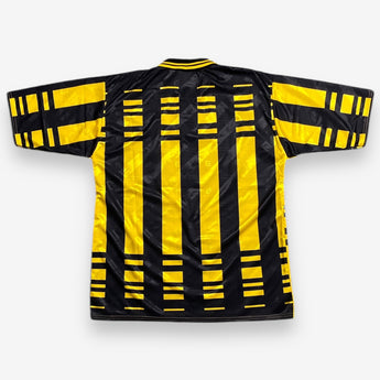 Chester City 1994/1995