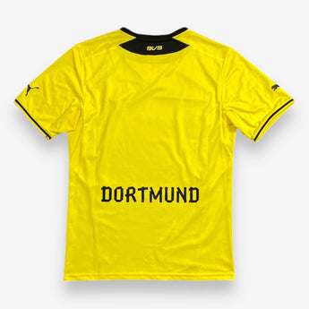 Borussia Dortmund 2013/2014