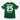 VfL Wolfsburg 2008/2009